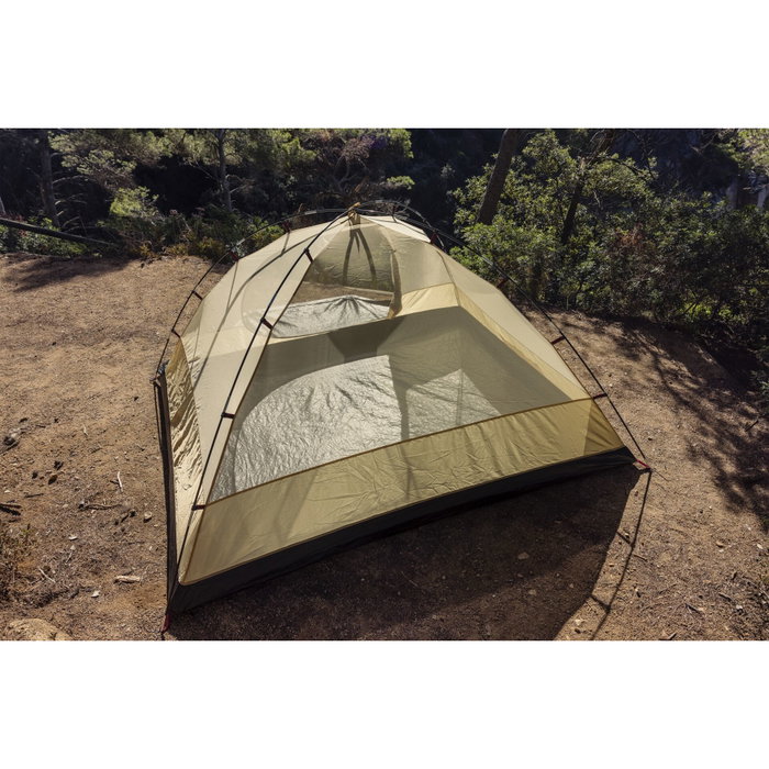 Coleman Darwin Summer 4 Plus