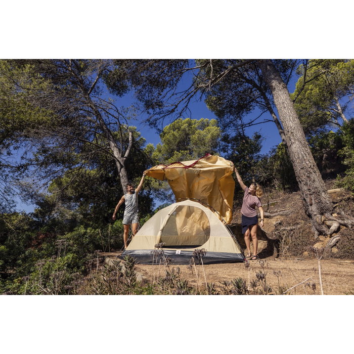 Coleman Darwin Summer 4 Plus
