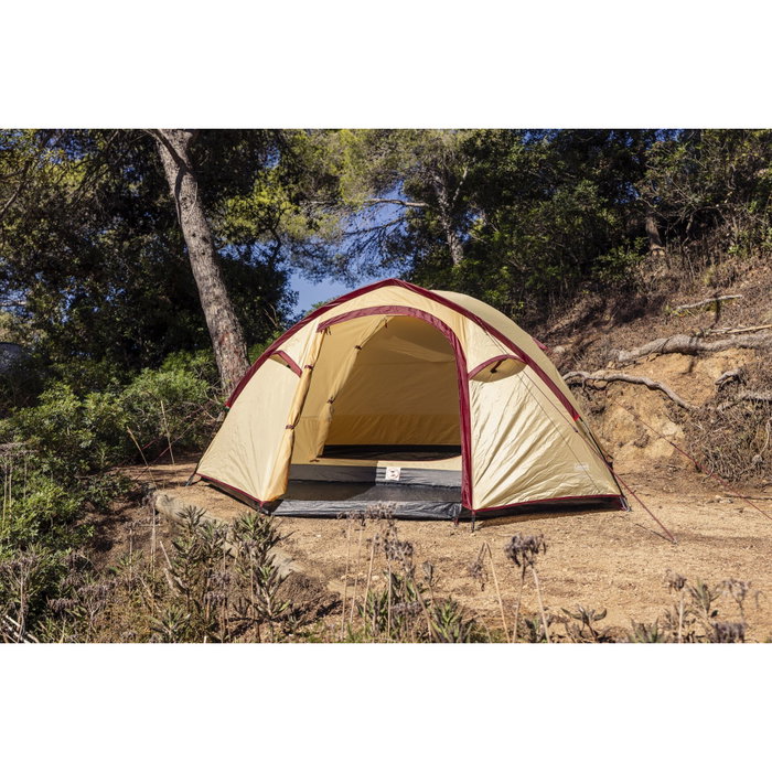 Coleman Darwin Summer 4 Plus