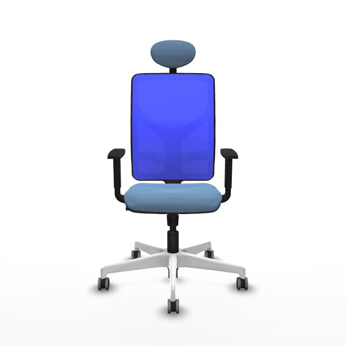 PIQUERAS Y CRESPO Silla de oficina Motilla con mecanismo Sincro, Azul PIQUERAS Y CRESPO Silla de oficina Motilla con mecanismo Sincro, Azul