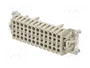 LAPP EPIC H-BE Conector Hembra de 24 Pines