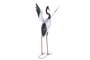 DKD Home Decor Figura de Metal Garza Blanco y Negro