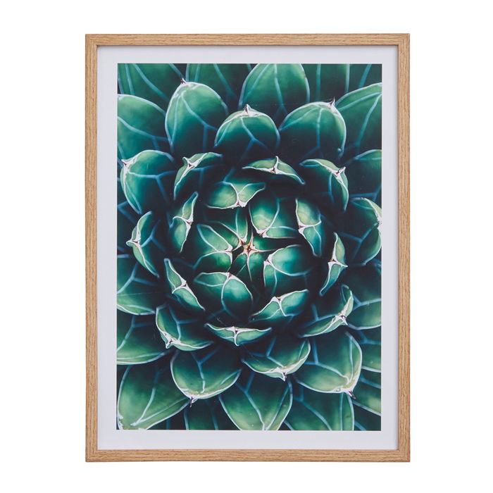 Day Marco Foto Cuadro 30x40 cm Medidas 32x42 cm