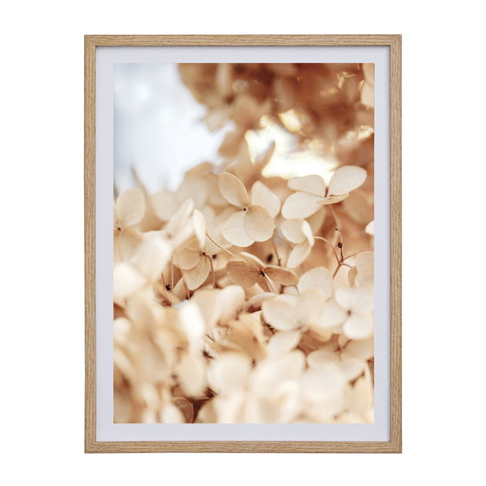 Day Marco Foto Cuadro 30x40 cm Medidas 32x42 cm