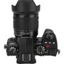 Panasonic Lumix DC-G97 con objetivo Lumix G Vario 12-60mm Power OIS