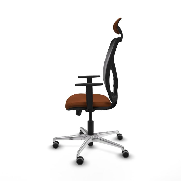 PIQUERAS Y CRESPO Silla de oficina Motilla con mecanismo Sincro/Traslack, Marrón y Negro PIQUERAS Y CRESPO Silla de oficina Motilla con mecanismo Sincro/Traslack, Marrón y Negro