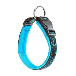 Ferplast Collar Sport Dog C25 45 Azul - Para perros, ajustable 35-45 cm, ancho 25 mm