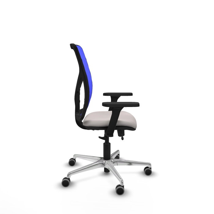 PIQUERAS Y CRESPO Silla de oficina Motilla con mecanismo Sincro/Traslack, Blanco y Azul PIQUERAS Y CRESPO Silla de oficina Motilla con mecanismo Sincro/Traslack, Blanco y Azul