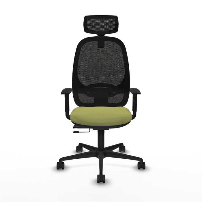 PIQUERAS Y CRESPO Silla de oficina Cilanco con mecanismo Sincro/Traslack Verde oliva/Negro PIQUERAS Y CRESPO Silla de oficina Cilanco con mecanismo Sincro/Traslack Verde oliva/Negro