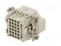 LAPP Conector Industrial EPIC® H-DD 024 MC HDC