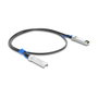DeLOCK Cable Twinax SFP28 a SFP28 25 Gbps 1 m