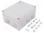ELEKTRO-PLAST NASIELSK Caja de Conexiones IP55 Gris