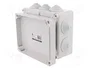 ELEKTRO-PLAST NASIELSK Caja de Conexiones IP55 Gris