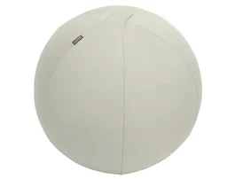 LEITZ Active Ergo Balón de Asiento 55 cm Gris Antideslizante