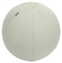 LEITZ Active Ergo Balón de Asiento 55 cm Gris Antideslizante