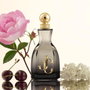 Jimmy Choo I WANT CHOO FOREVER Eau de Parfum 40 ml