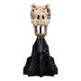 El Señor de los Anillos Estatua Skull of a Fell Beast 21 cm