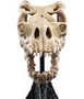 El Señor de los Anillos Estatua Skull of a Fell Beast 21 cm