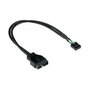 GoodConnections Adaptador Pin-Header USB3.0 a USB2.0 0,3 m