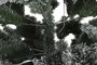 DKD Home Decor Árbol de Navidad Nevado con LED de 240 cm