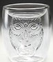 Pyramid International Vaso 3D Doble Pared Hedwig Harry Potter