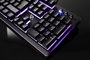 California Access Iguana CA-1413HQ Teclado Híbrido Semi-Mecánico QWERTY Polaco Retroiluminado Anti-Ghosting