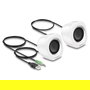 DeLOCK 27008 Altavoces PC Estéreo Mini 2.0, 2W, Blanco/Plata, USB y Conector 3.5 mm, Plug and Play, Para Escritorio