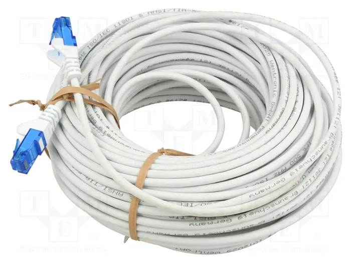 GOOBAY Patch cord Cat 6a U/UTP 30m con RJ45