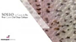 Montagud Editores - Sollo, la cocina de río / Sollo, River Cuisine, Diego Gallegos