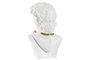 DKD Home Decor Figura de Busto en Resina Blanco y Dorado