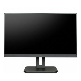 Terra AIO Wortmann TERRA ALL-IN-ONE-PC 2410HA GREENLINE