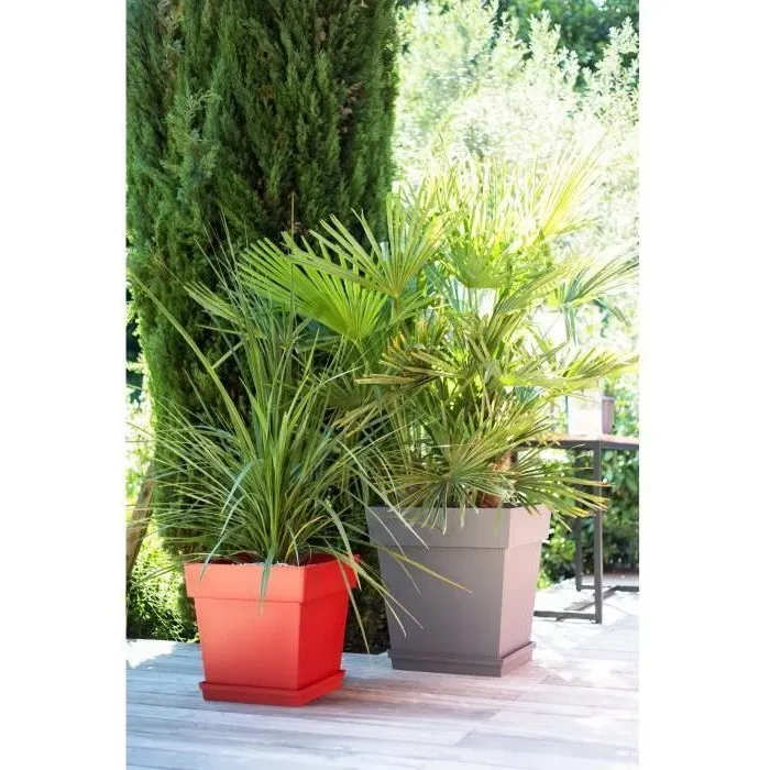 Eda Maceta Cuadrada Toscana 50 cm - 87 L - Taupe para Exterior e Interior, Jardín o Terraza