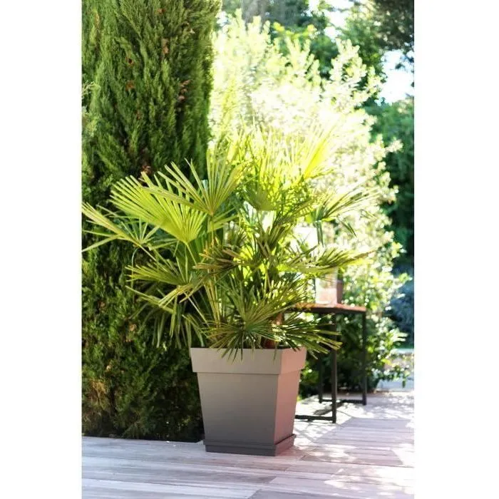 Eda Maceta Cuadrada Toscana 50 cm - 87 L - Taupe para Exterior e Interior, Jardín o Terraza