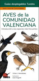 Aves de la Comunidad Valenciana, Hernandez Victor - Tundra