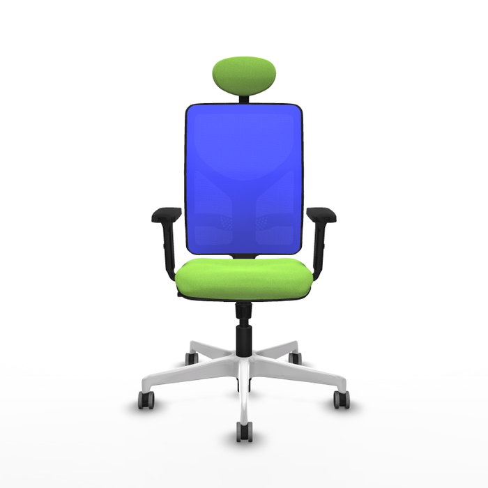 PIQUERAS Y CRESPO Silla de oficina Motilla con mecanismo Sincro, Azul y Pistacho PIQUERAS Y CRESPO Silla de oficina Motilla con mecanismo Sincro, Azul y Pistacho