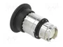 SCHNEIDER ELECTRIC Interruptor de presión Harmony XB4 22mm Negro