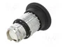 SCHNEIDER ELECTRIC Interruptor de presión Harmony XB4 22mm Negro