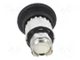 SCHNEIDER ELECTRIC Interruptor de presión Harmony XB4 22mm Negro