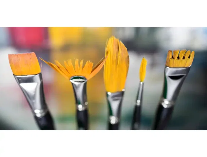Derwent Pinceles Técnicos Set de 6 Unidades Surtidos para Pintura Artística