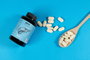 Complemento Alimenticio Supple Pets LIVER PROTEC