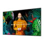 Samsung QH43C Digital Signage 43 pulgadas 4K UHD VA Negro