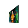 Samsung QH43C Digital Signage 43 pulgadas 4K UHD VA Negro