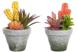 DKD Home Decor Planta Cactus Surtida PP EVA 12x11x19 cm