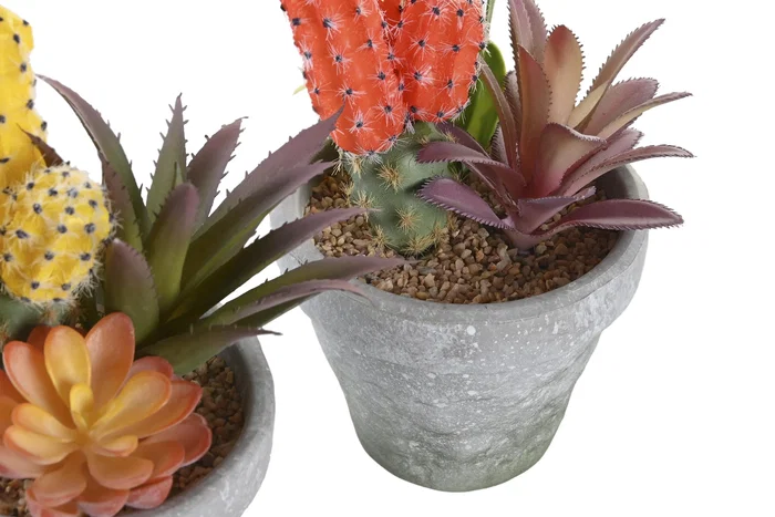 DKD Home Decor Planta Cactus Surtida PP EVA 12x11x19 cm