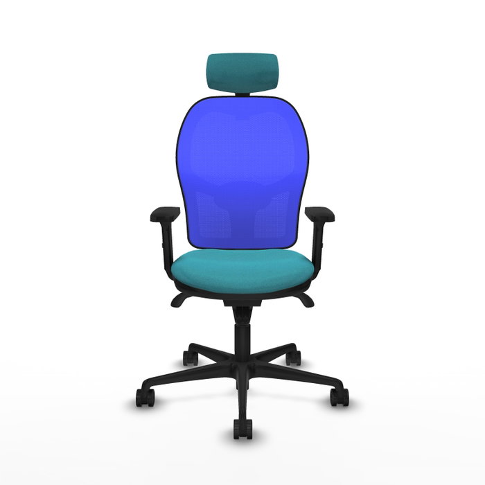 PIQUERAS Y CRESPO Silla de oficina Jorquera con mecanismo Sincro, Tela Turquesa y Malla Azul PIQUERAS Y CRESPO Silla de oficina Jorquera con mecanismo Sincro, Tela Turquesa y Malla Azul