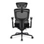 Sharkoon OfficePal C50 Silla de Oficina con Respaldo de Malla Acolchado Ajustable y Reposabrazos Negro