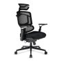 Sharkoon OfficePal C50 Silla de Oficina con Respaldo de Malla Acolchado Ajustable y Reposabrazos Negro