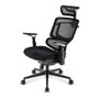 Sharkoon OfficePal C50 Silla de Oficina con Respaldo de Malla Acolchado Ajustable y Reposabrazos Negro