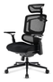 SHARKOON OfficePal C50 Silla de Oficina Ergonómica Negra