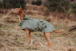 Hunter Abrigo Milford 40 cm Verde resistente al agua y al viento para perros, cuello y vientre ajustable, poliéster